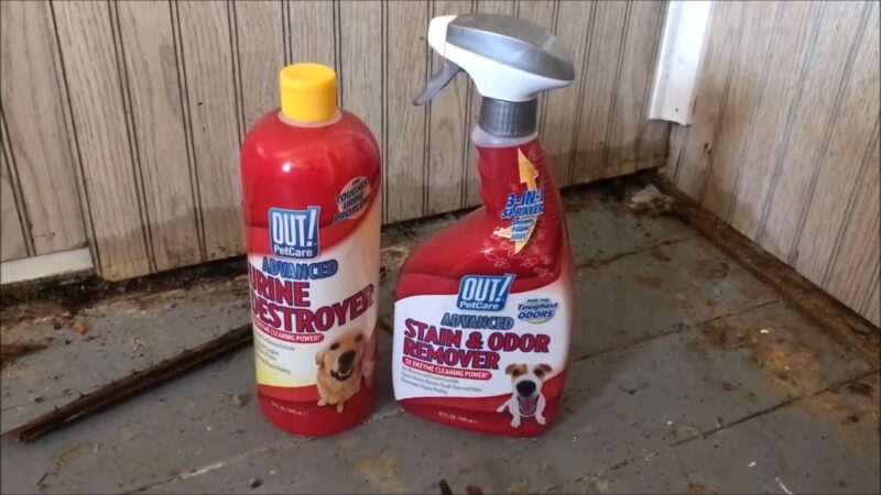 OUT Urine Destroyer and Pet Stain and Odor Remover