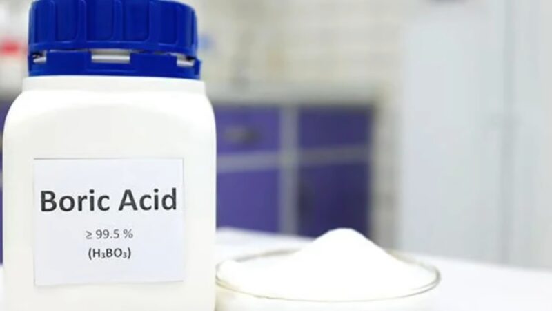 Boric Acid - Eliminate Pests