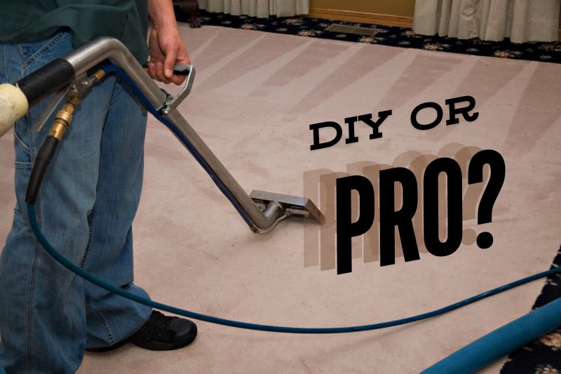 Comparing DIY and Professional Service For Carpet Cleanings