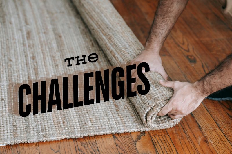 How about the Challenges Of DIY and Pro Carpet Cleaning