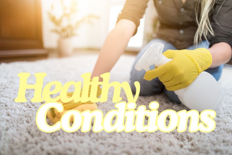 Maintaining Healthy Carpet Conditions