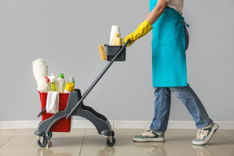 Professional Cleaning Service